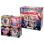 OnlyInAmerica